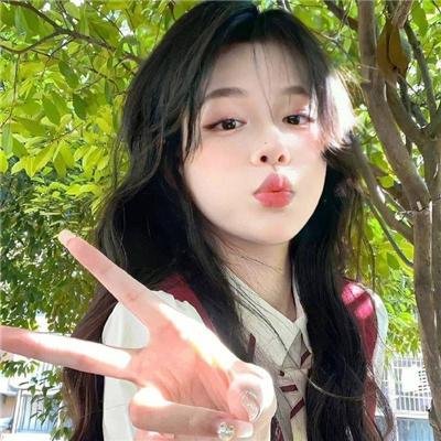 新罗宾汉